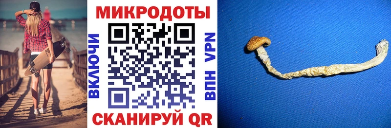 Купить закладки  Жигулёвск  Галлюциногенные грибы GOLDEN TEACHER 